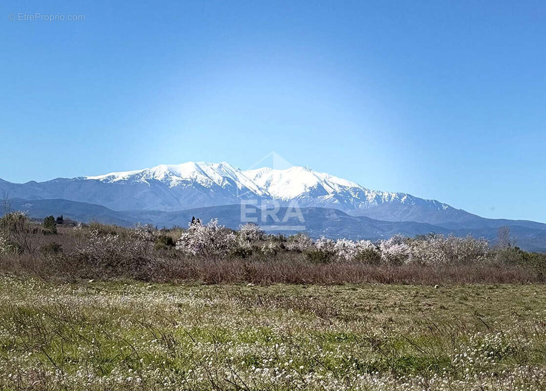 Maison à POLLESTRES