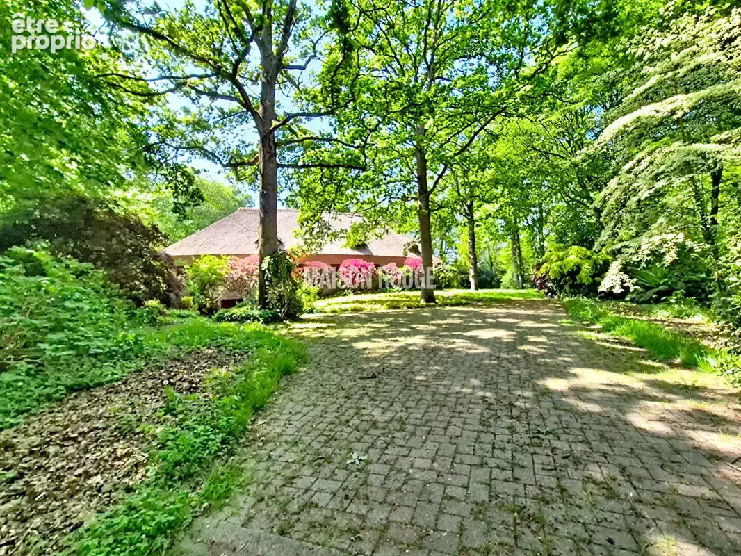 Vaste maison de famille - Toit de chaume - 240 m² - Proche Dinan et de la côte - Parc de 1,9 ha - photo 19