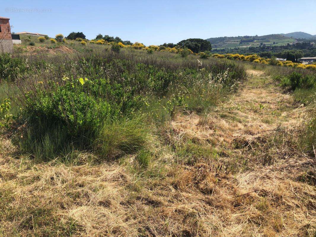 Terrain à LIMOUX