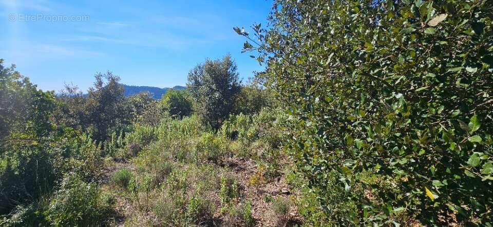Terrain à BAGNOLS-EN-FORET