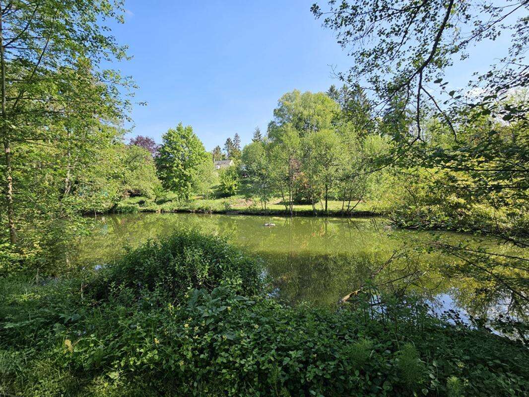 Montgobert Longère , 7 pièce(s) 112 m2, 2 Hectares avec étang et bois - photo 17