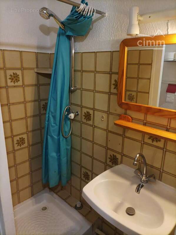 A vendre appartement duplex de plus de 32 m² - photo 5