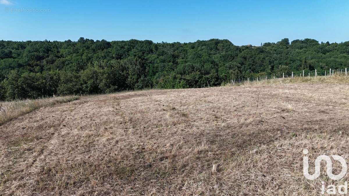 Photo 6 - Terrain à DURFORT-LACAPELETTE
