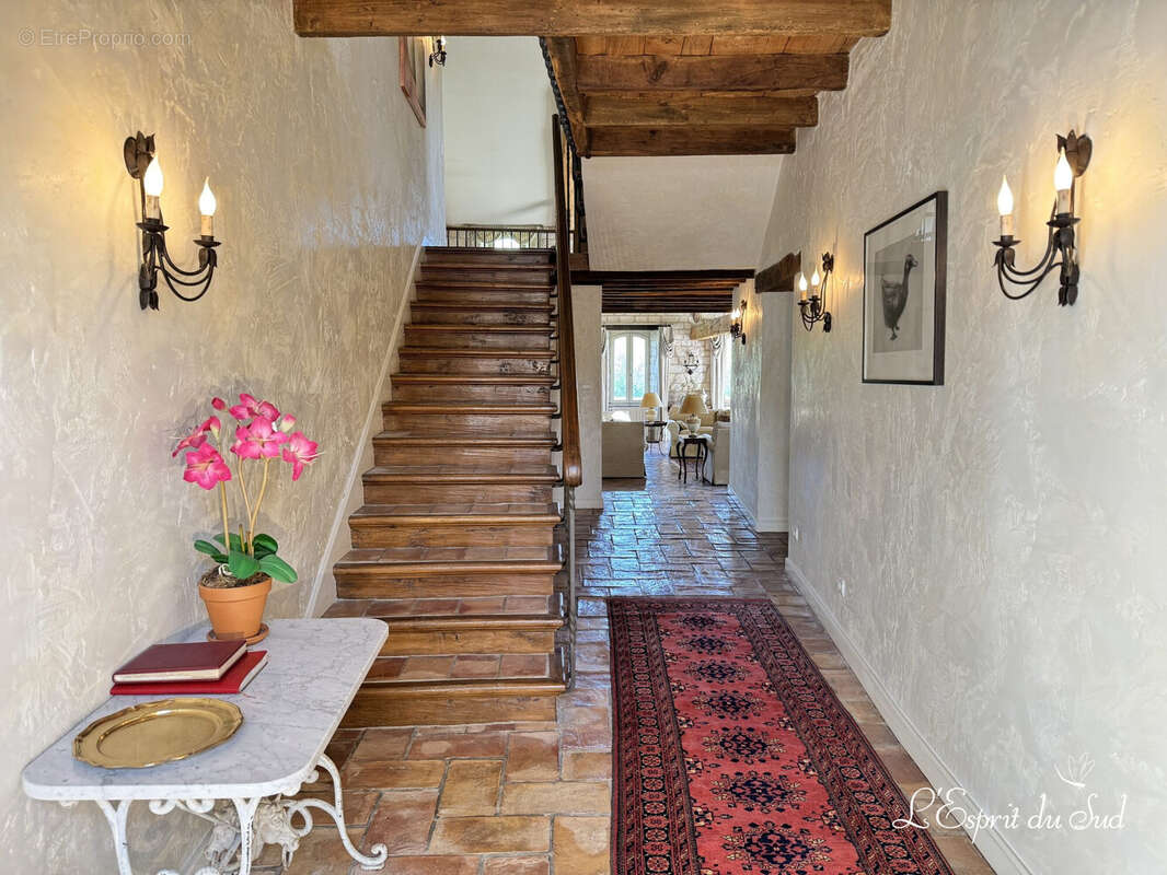 Hall d'entrée - Maison à CASTELNAU-DE-MONTMIRAL