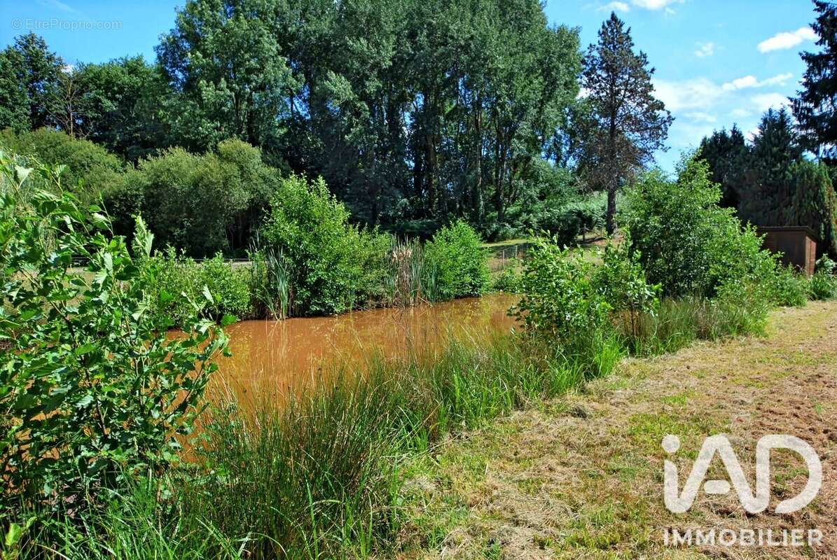 Terrain 3520 m² à Santranges  - photo 2