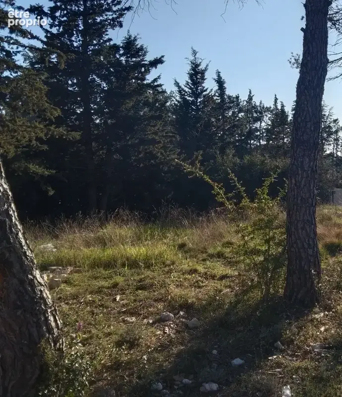 Terrain 495 m² à La Bastide-Des-Jourdans  - photo 1