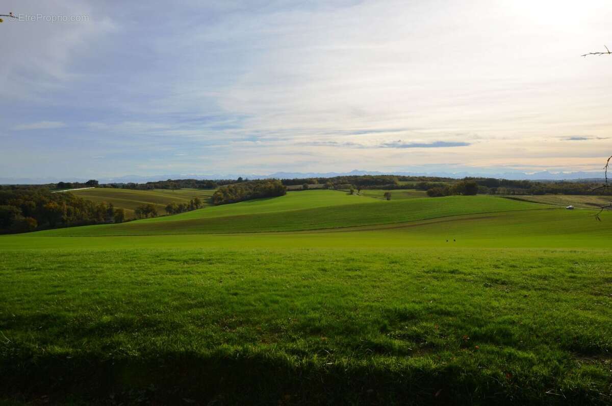 026 - Maison à MONTESQUIOU