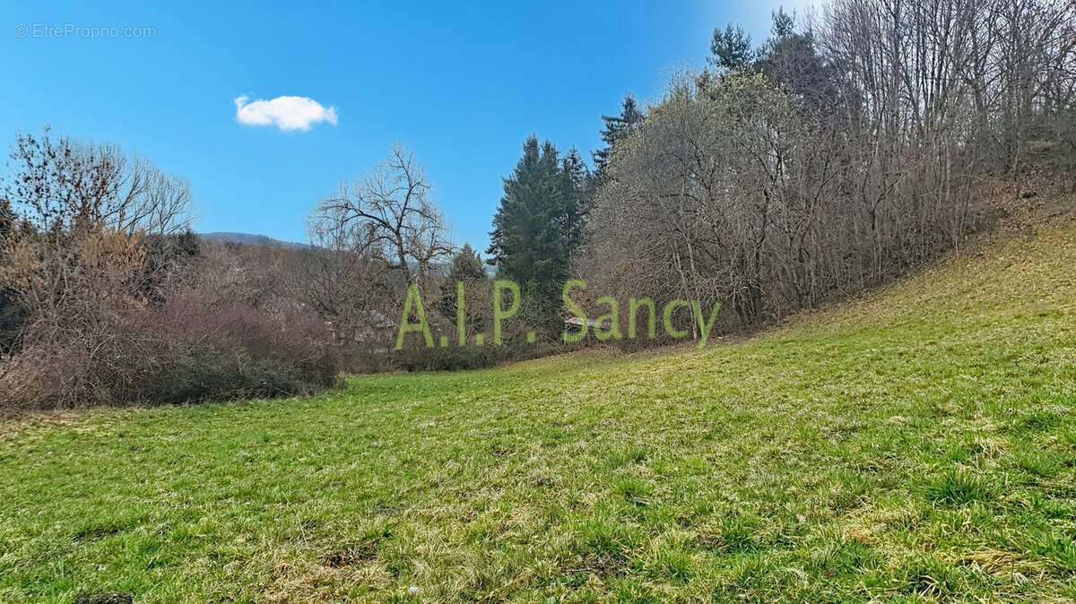 Disponibles à la vente 1 parcelle de terrain de 1 700 m2. - photo 2