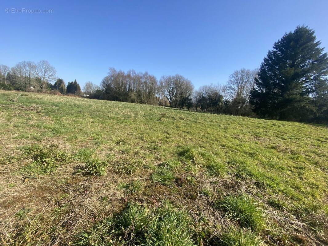 Terrain à LANGUIDIC