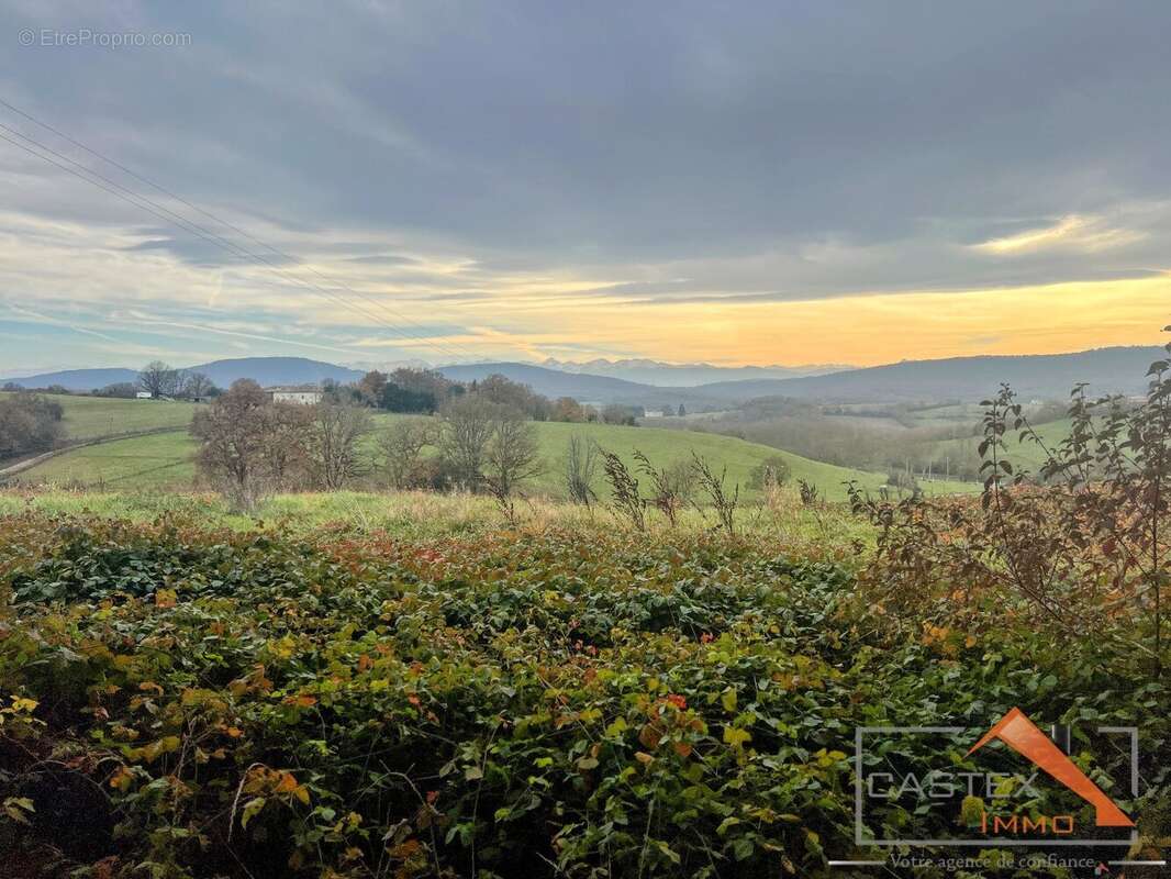 Terrain à MARTRES-TOLOSANE
