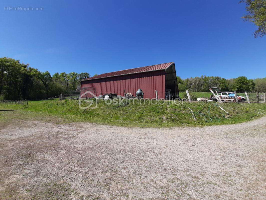 Terrain à CHAILLAC-SUR-VIENNE