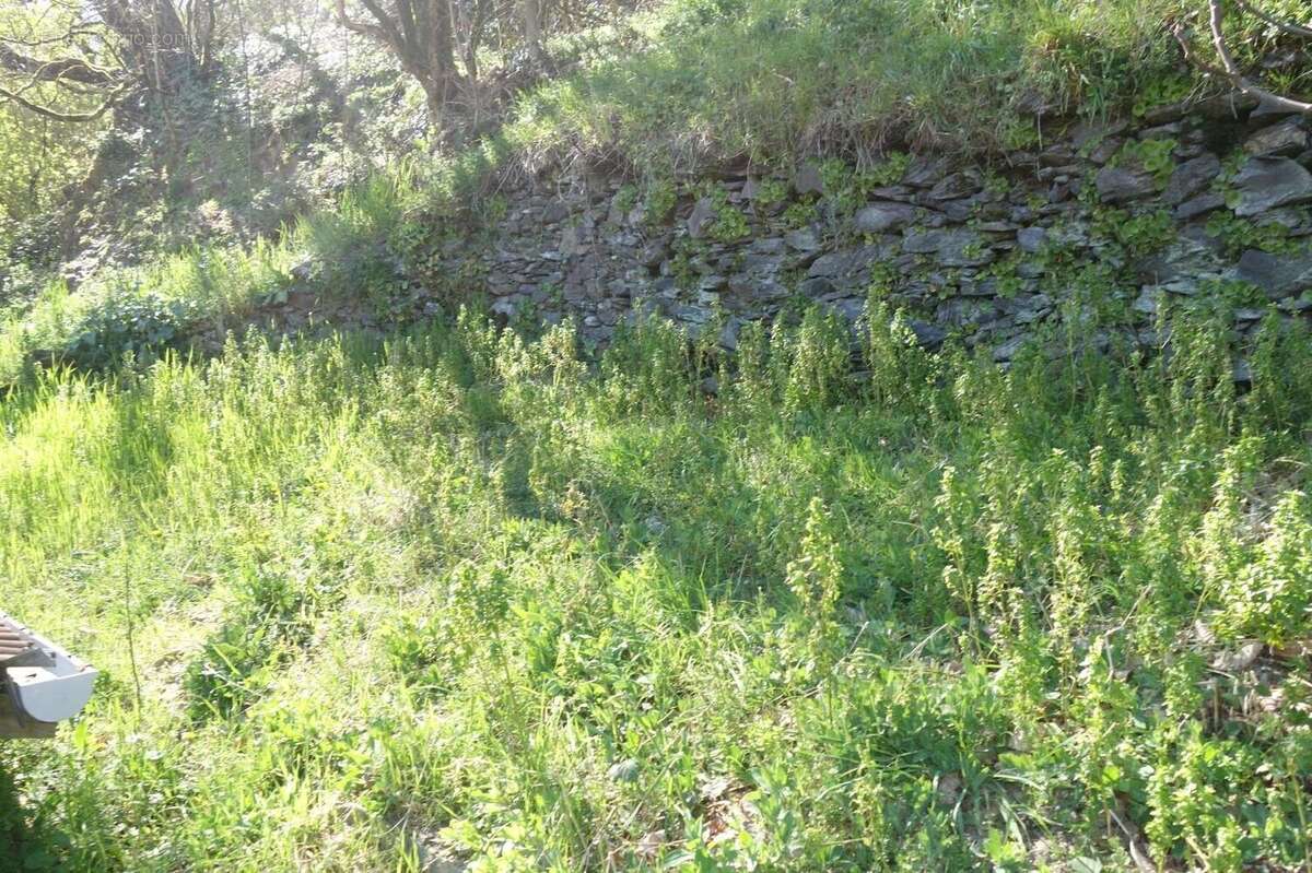 Photo 9 - Maison à VABRE