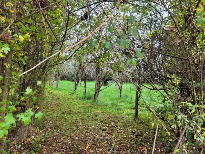 Maison à GERMIGNY-L&#039;EXEMPT
