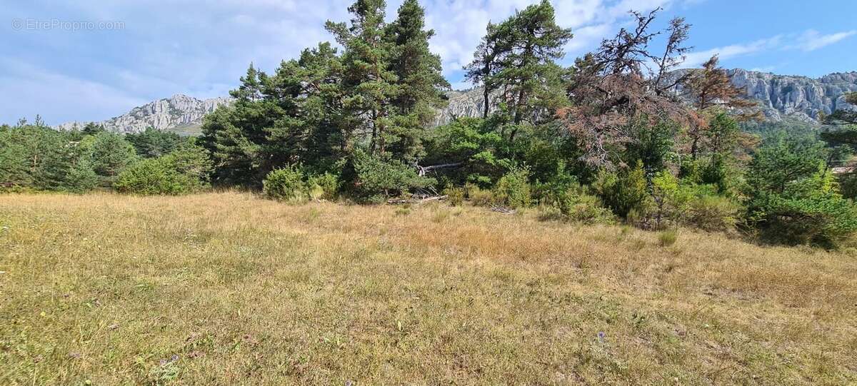Terrain constructible de 1 990 m² – Un cadre naturel privilégié - photo 3