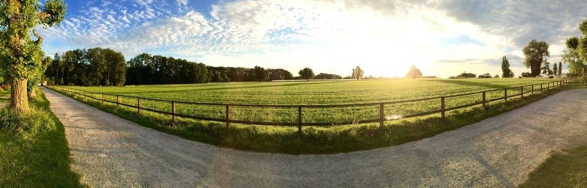 Terrain à CHAVAGNES-EN-PAILLERS