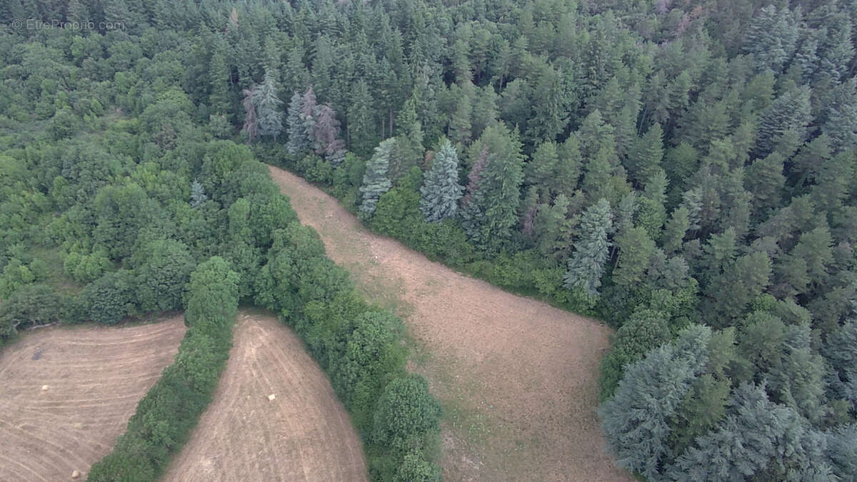 Haute Corbières - 20min de Limoux - Propriété d’Exception avec 98 ha de Forêt et Dépendances - photo 23