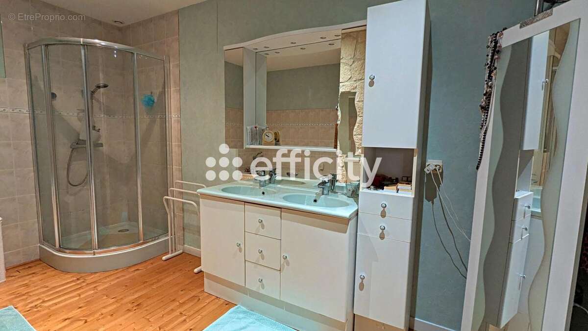 Maison 355 m² à Asnieres-Sur-Nouere  - photo 15