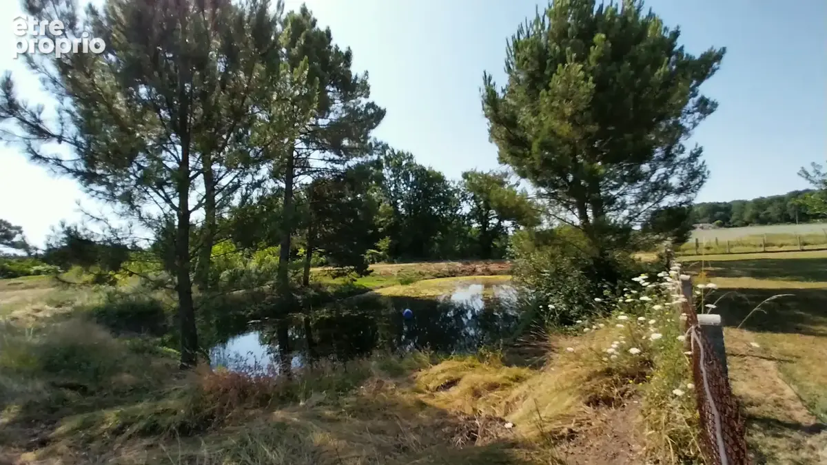 Maison en Pierre avec une piscine et 2ha de terrain située dans un hameau à proximité de Périgueux; - photo 22