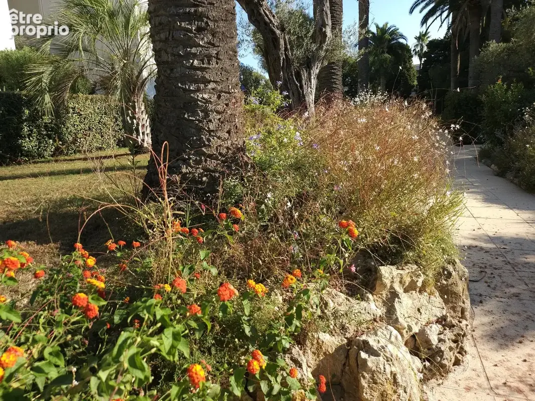 Exclusivité - Début Cap d'Antibes - Beau 3 pièces avec grande terrasse et vue panoramique mer - Piscine - Parc - Garage - Cave - photo 20
