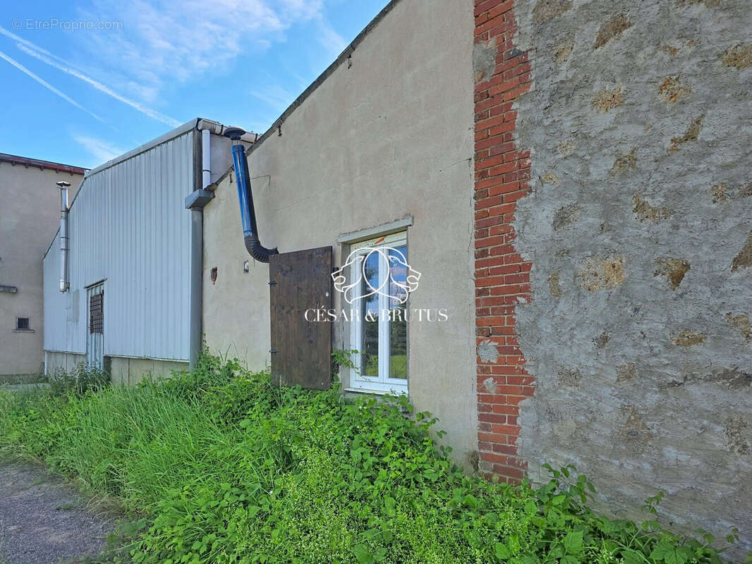 Commerce 496 m² à Saint-Vincent  - photo 9