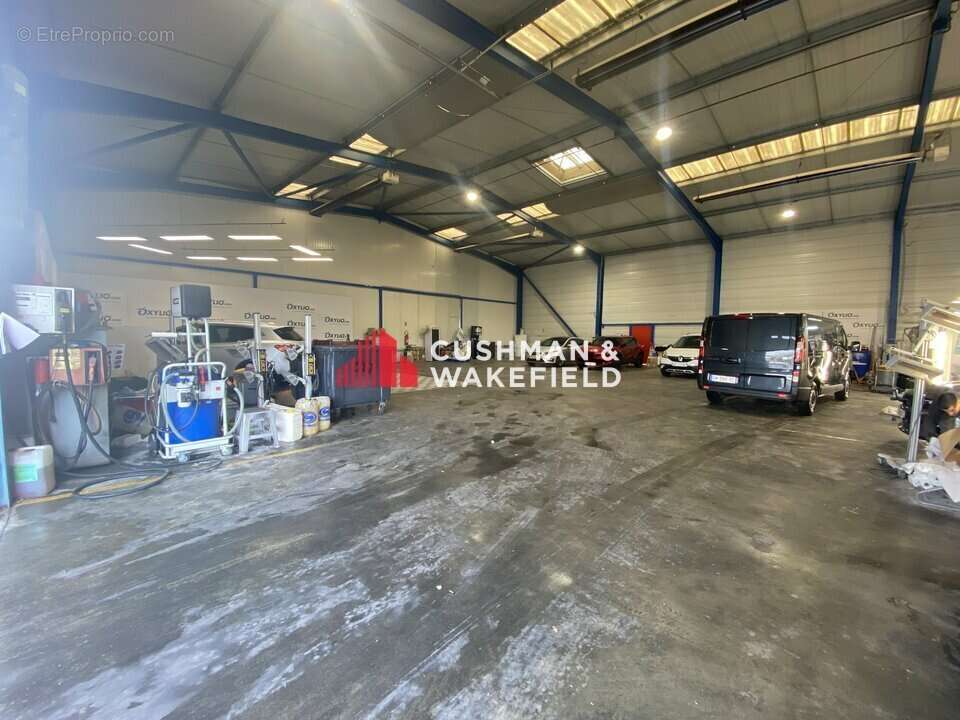 1553 m² à Lespinasse  - photo 4