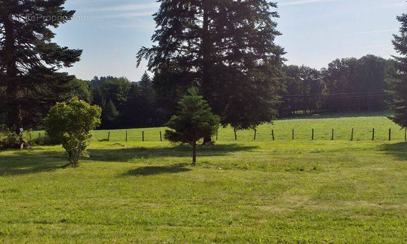 Terrain à SAINT-JUST-LE-MARTEL