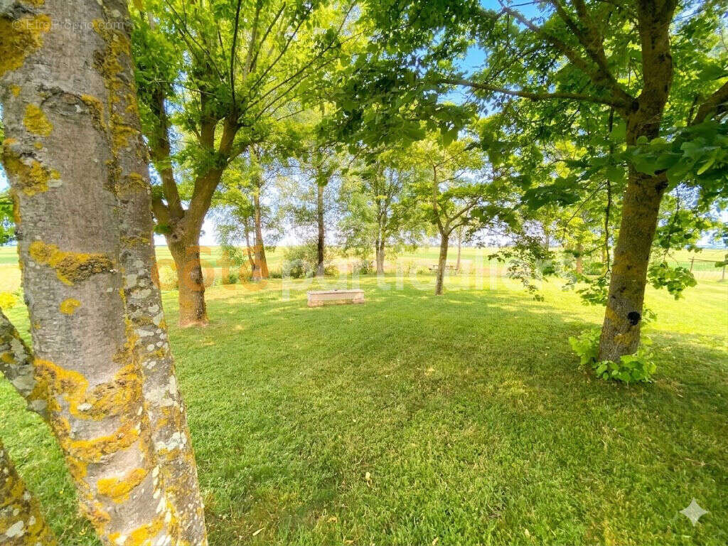 Ensemble immobilier sur un terrain de plus 2000m²  - 5 pièces - photo 18