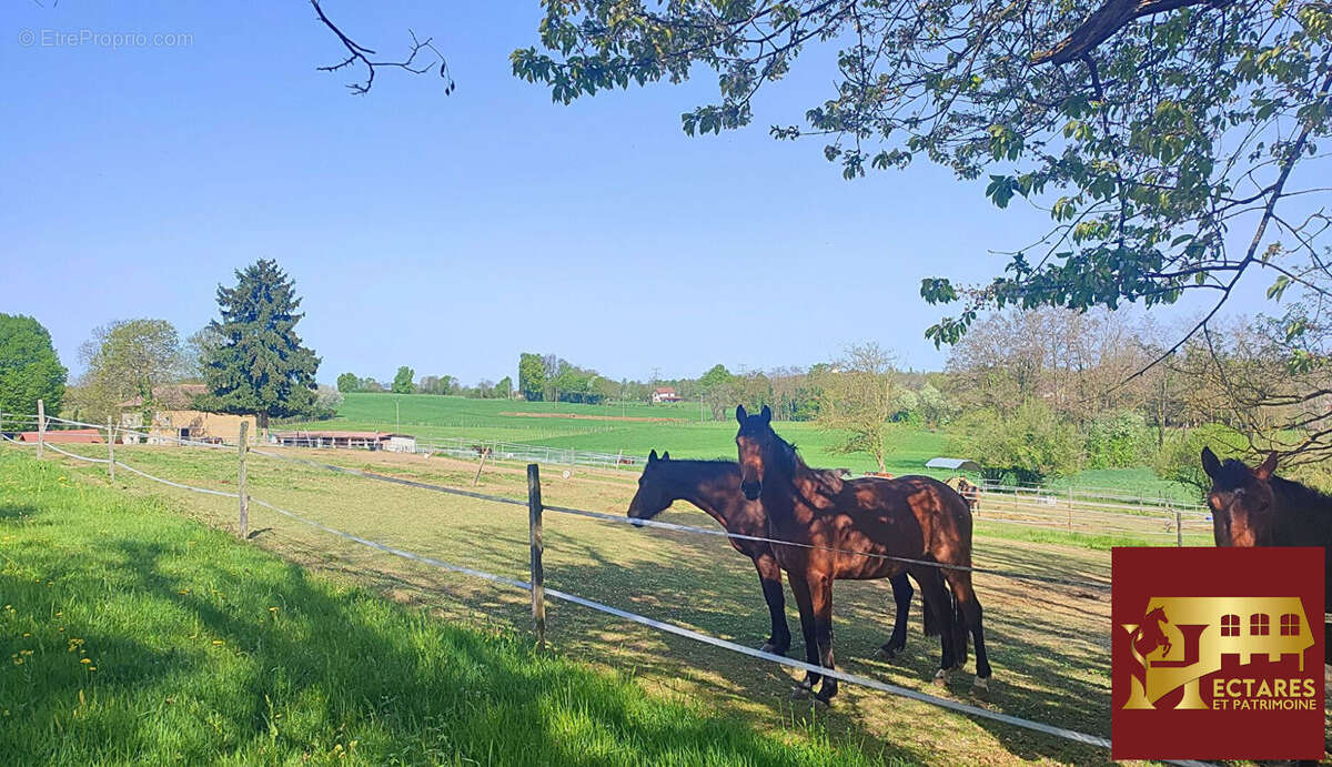 Maison à LA CHAPELLE-DE-LA-TOUR