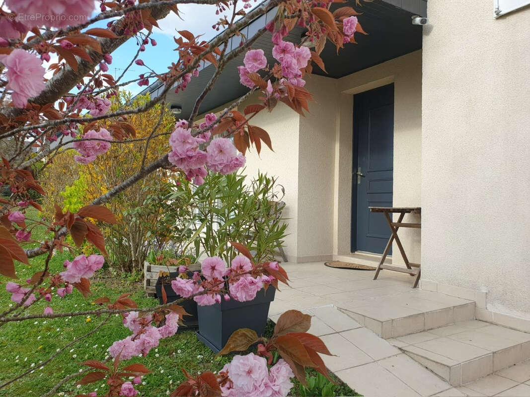 Maison à FONDETTES