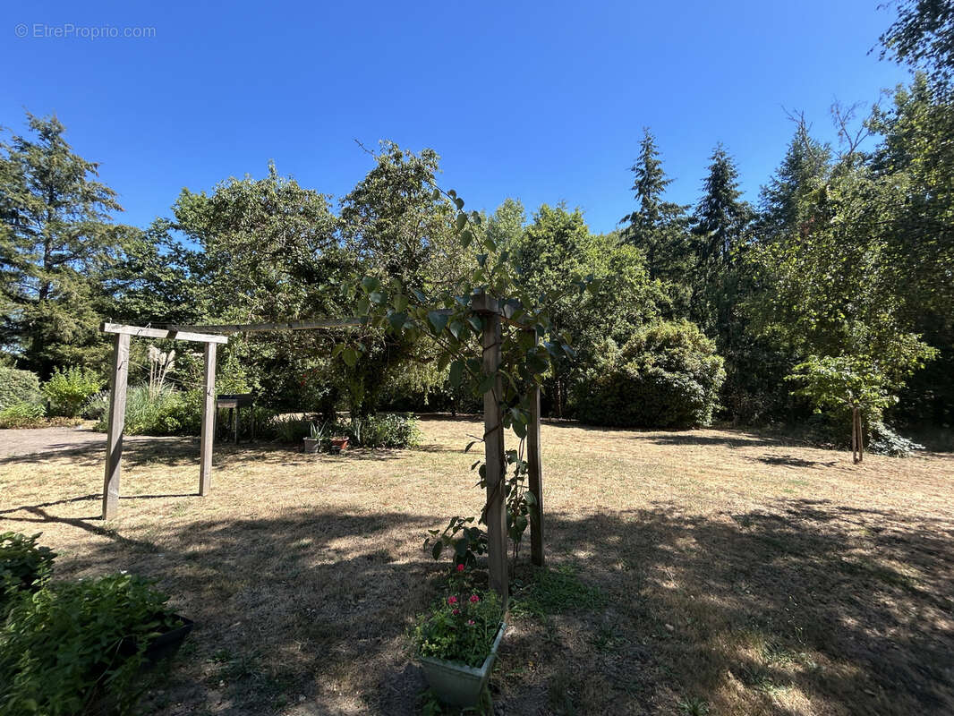 Maison habitable de suite avec carport, cave, parc, étang - photo 20