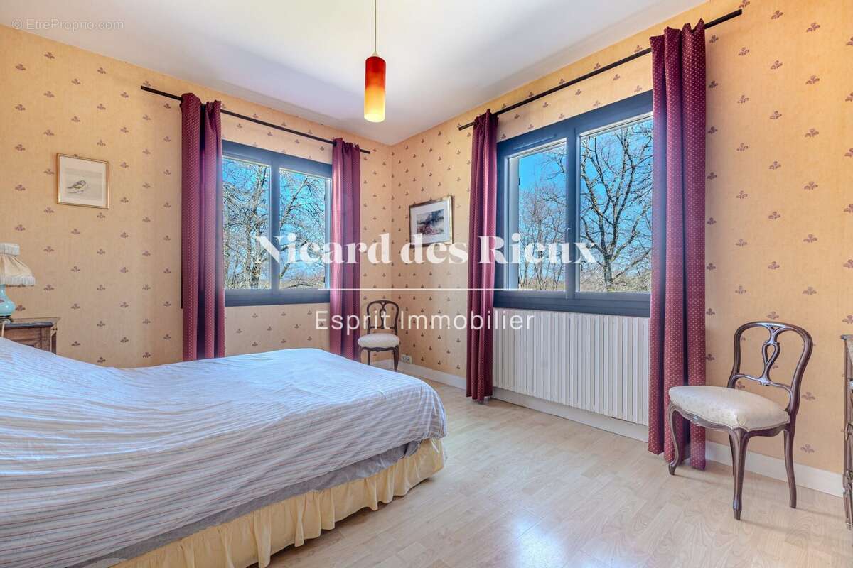 Maison 260 m² à Feytiat  - photo 4