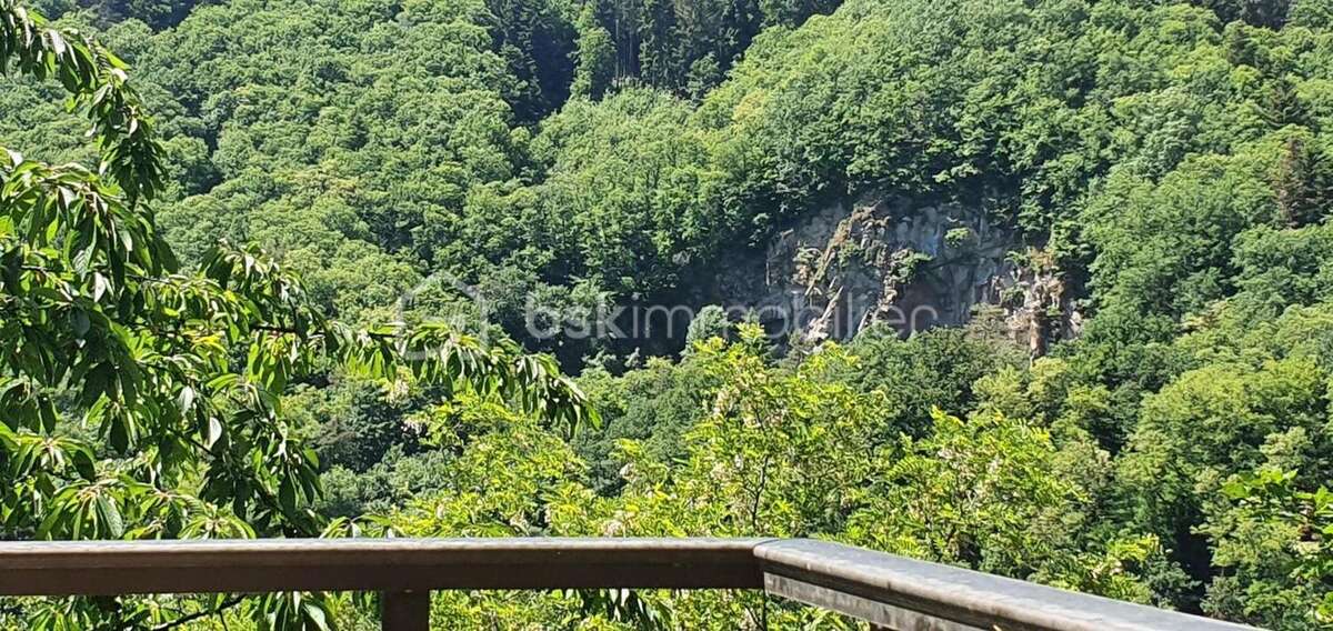 Belle propriété à vendre sur la commune d'Andlau - photo 8