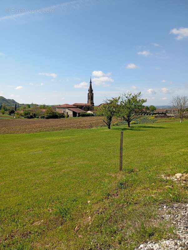 Terrain à LA MOTTE-DE-GALAURE