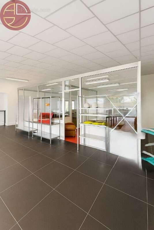 Commerce à PINS-JUSTARET