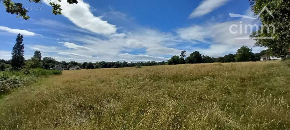 Maison à LA FERTE-SAINT-CYR