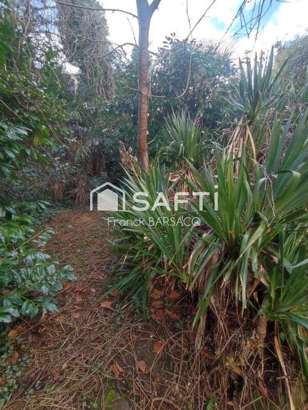 Appartement 223 m² à Cazaubon  - photo 8