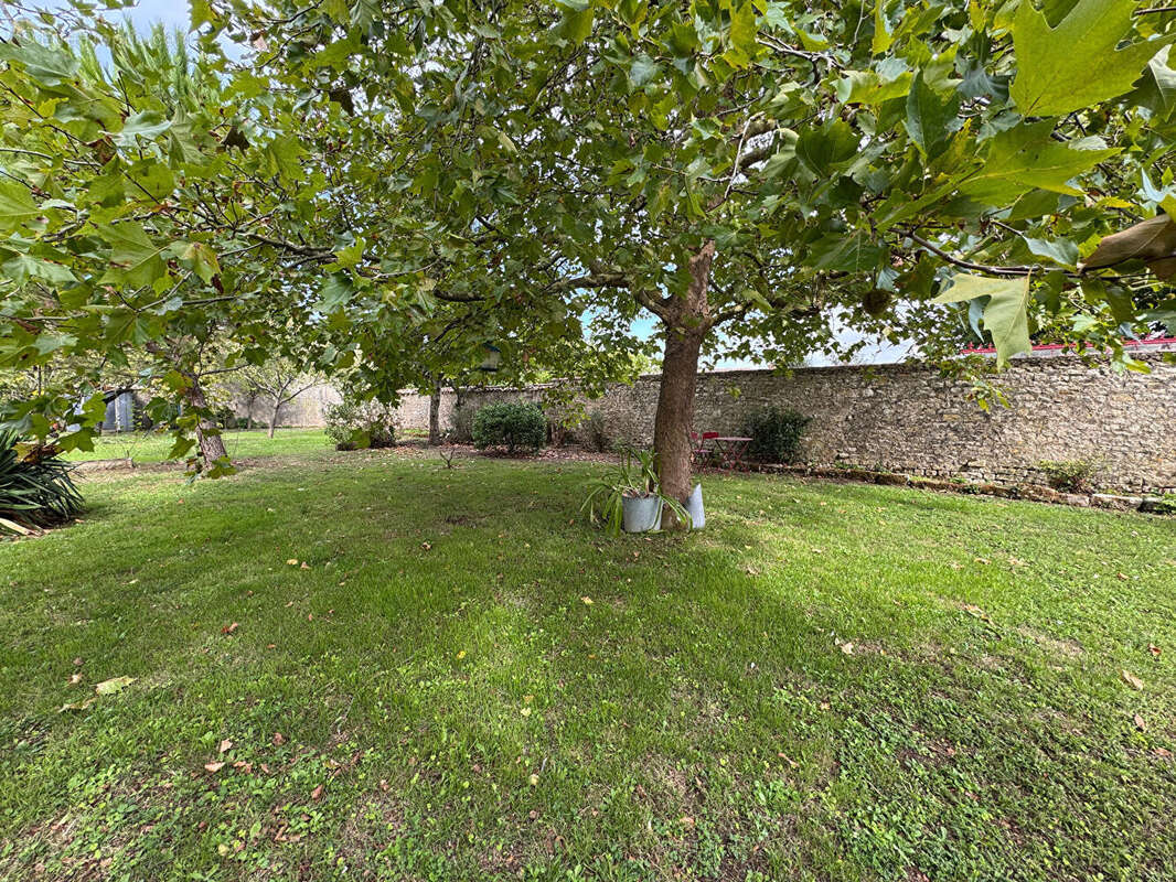 Maison à NIEUL-SUR-MER