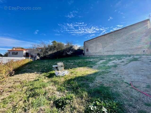 Terrain à BANYULS-DELS-ASPRES