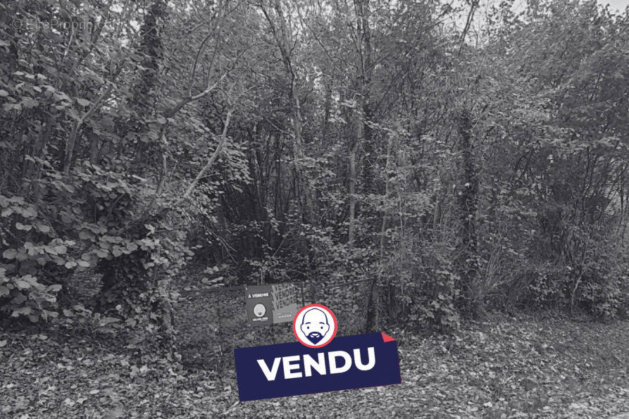 Terrain à SAINT-MIHIEL