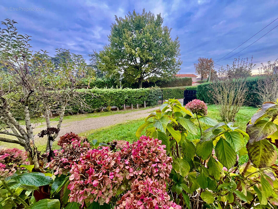 Maison à VILLENEUVE-SUR-LOT