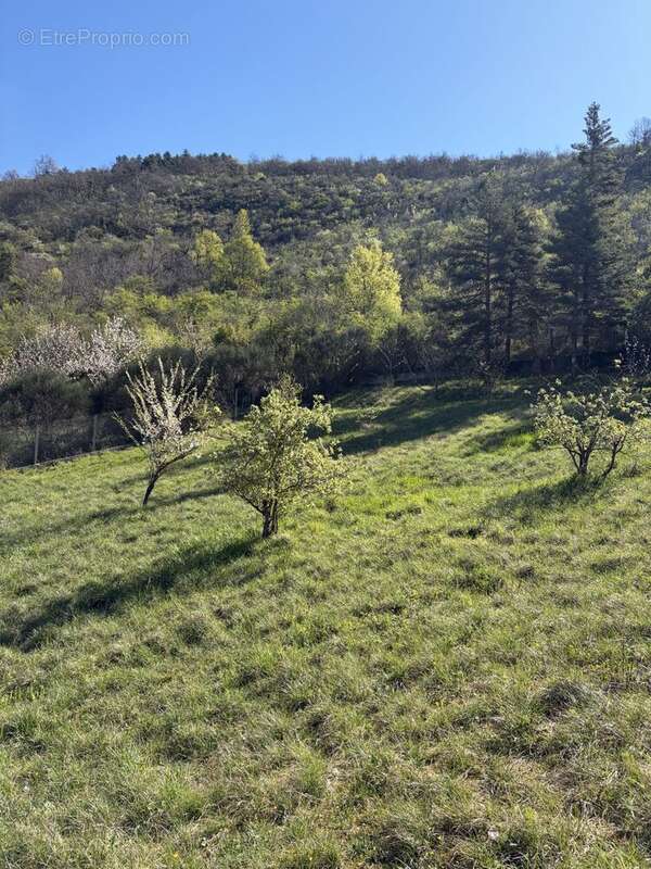 Terrain 1790 m² à Coux  - photo 6