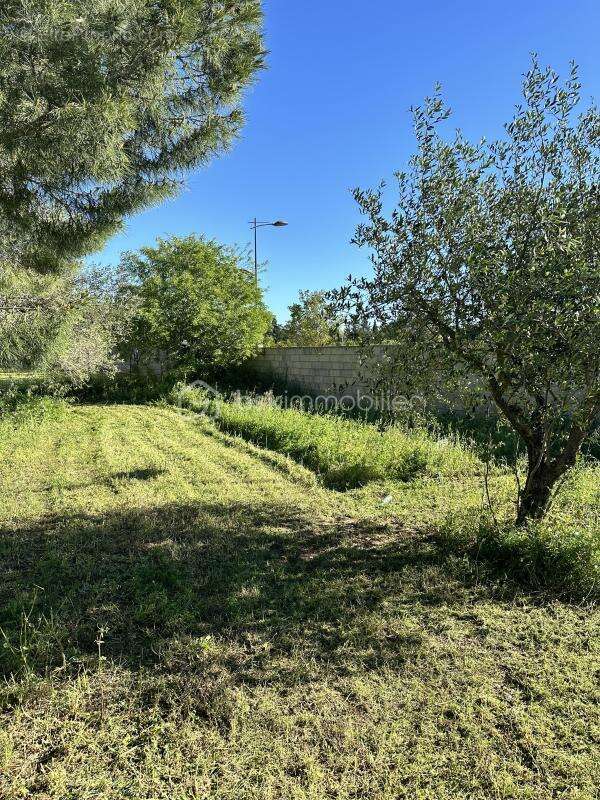 Terrain à AIMARGUES