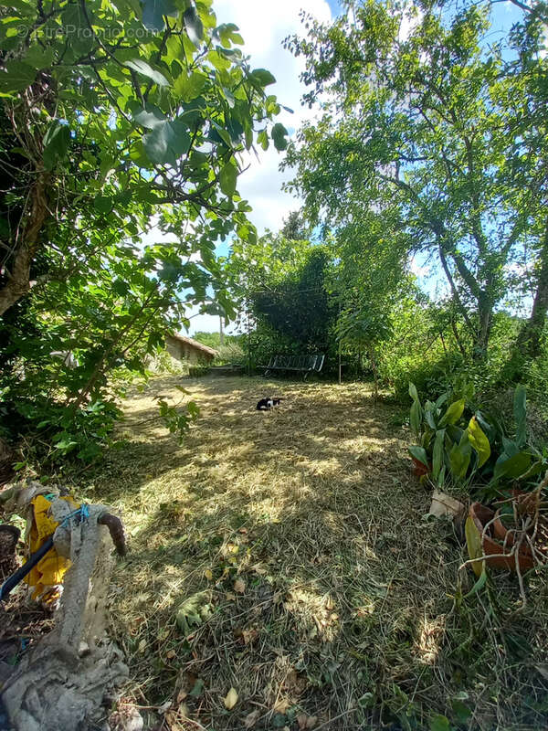 Maison en pierre - photo 10