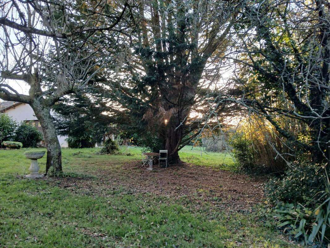Maison à MONTCHAUDE
