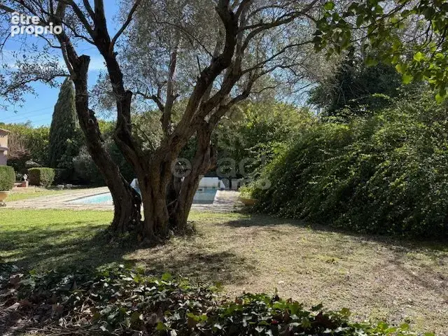 Rare! SAINT ANDRE DE SANGONIS  Magnifique Maison de Maître - photo 11
