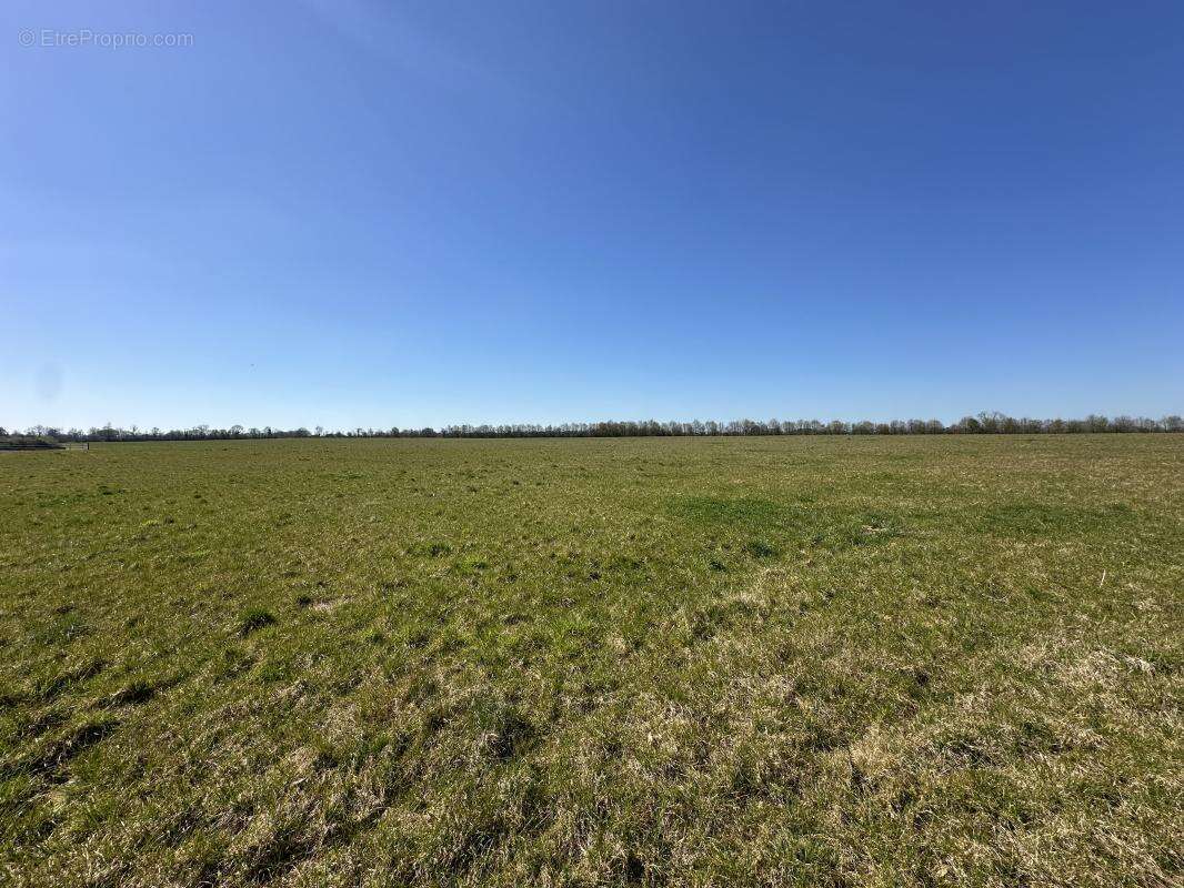 Terrain à GENNEVILLE