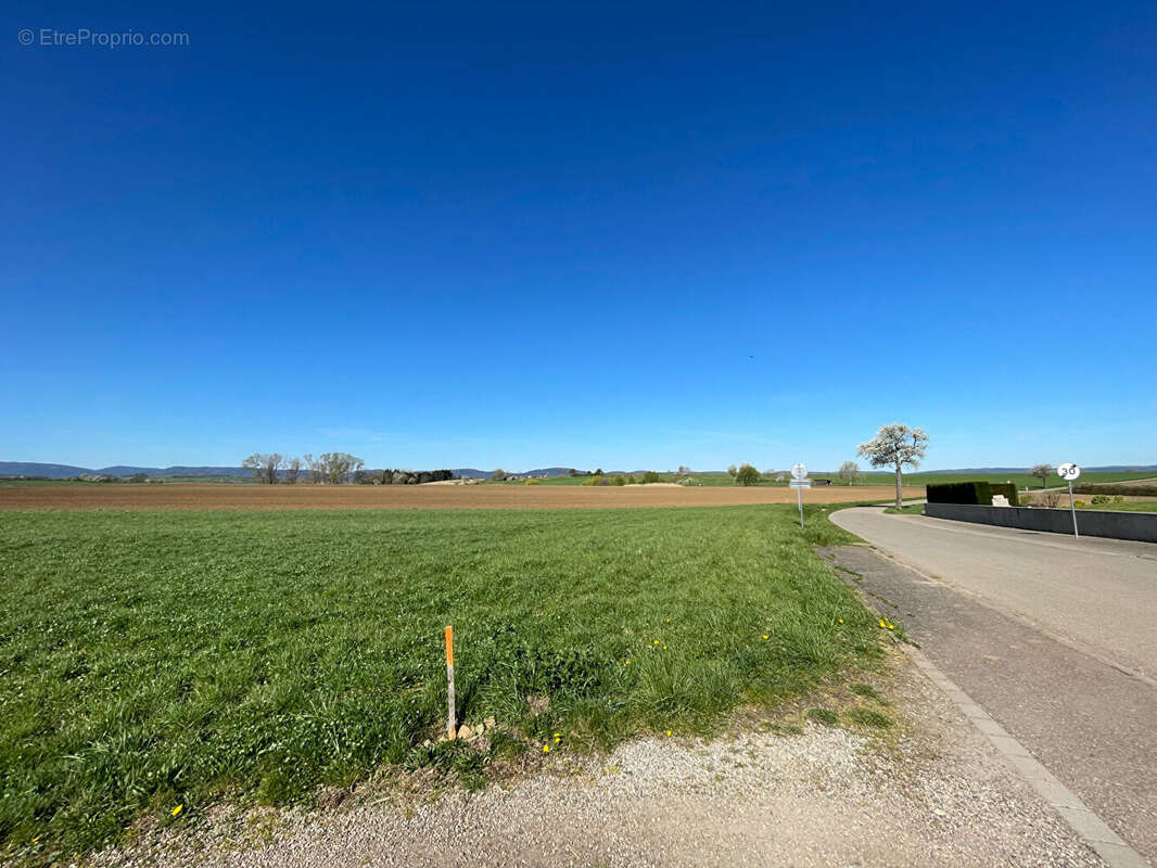 Terrain à KLEINGOEFT