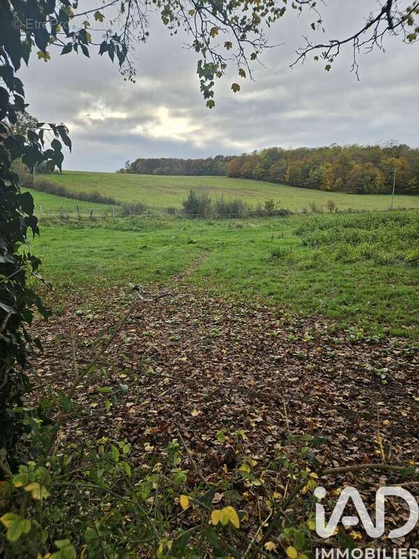 Photo 3 - Terrain à VILLENEUVE-SUR-YONNE