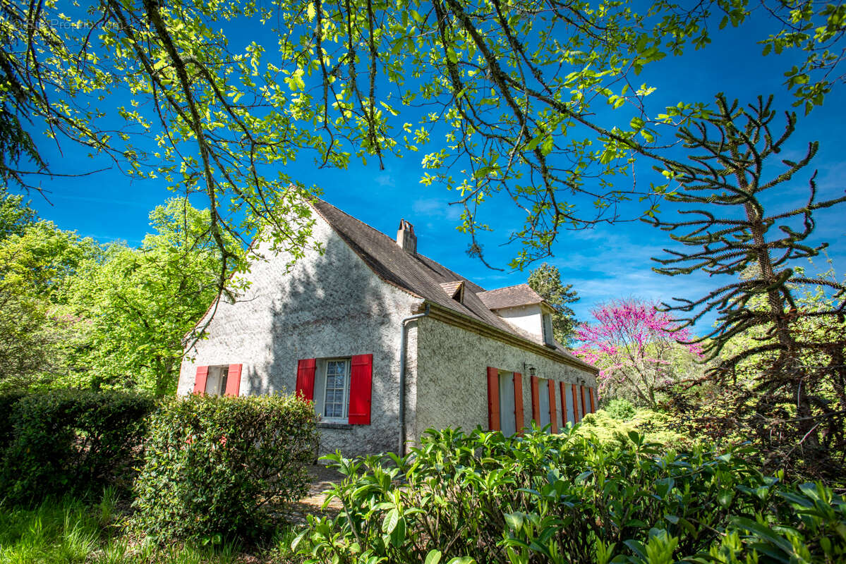 Maison +/- 114 m2, plein pied, 3chambres, garage, atelier, 2.5ha terrain - photo 14