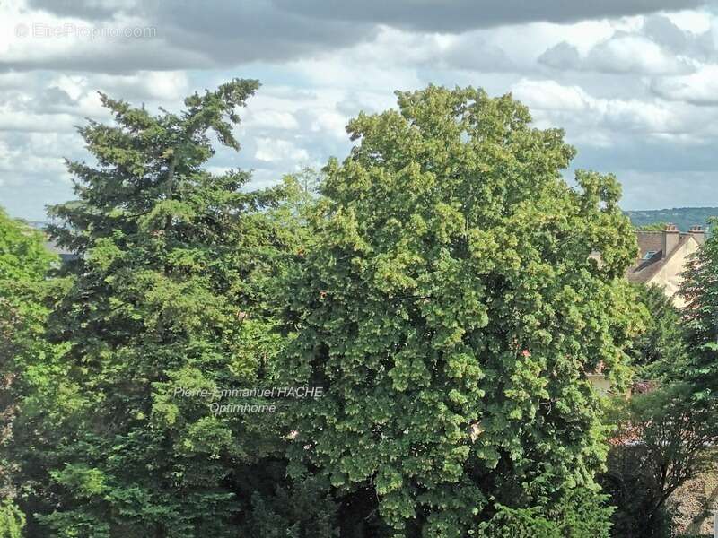 Appartement à SAINT-GERMAIN-EN-LAYE